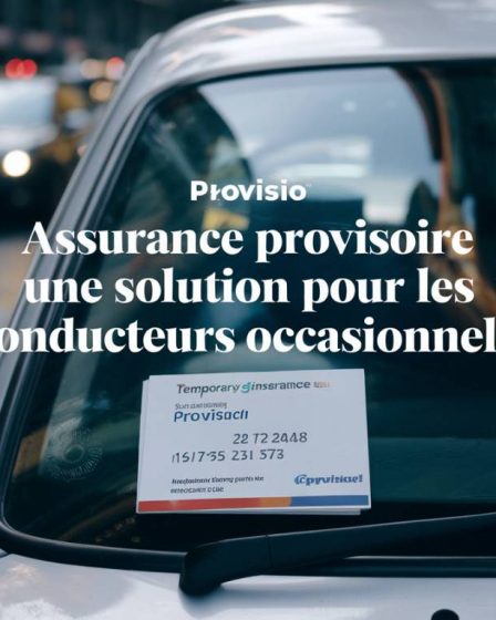 "Assurance provisoire : une solution pour les conducteurs occasionnels"